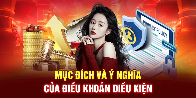 Mục đích và ý nghĩa của điều khoản điều kiện tại Nohu